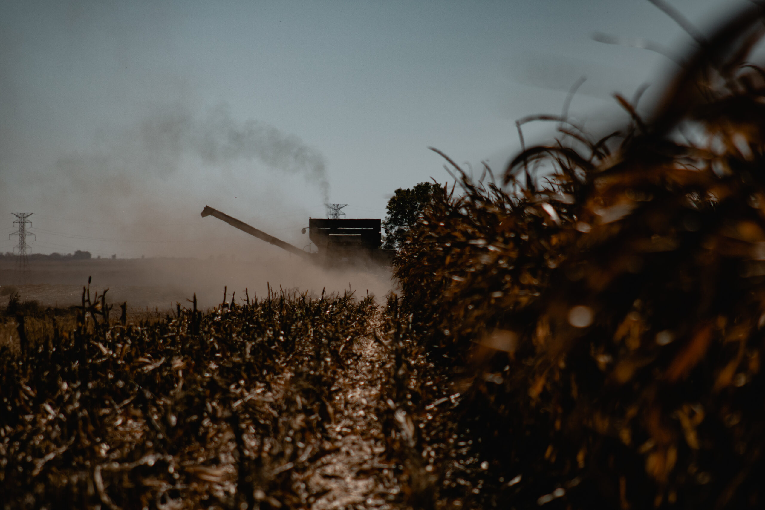 Harvest Photos